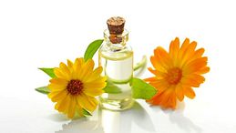 Gli eventi più importanti della Milano Beauty Week per gli appassionati di fragranze 