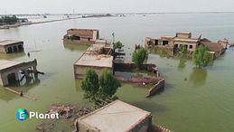 Giornata della Terra: approfondimenti 2026