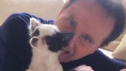 Roby Facchinetti, l’addio alla cagnolina Grace