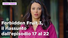 Forbidden Fruit 3, il riassunto della settimana dal 23 al 28 febbraio