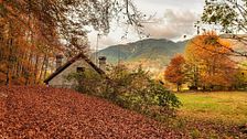 Foliage d’autunno: 5 mete di charme dove la natura si veste di colori