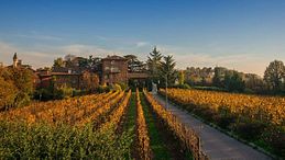 Wine resort in Italia: i migliori hotel tra le vigne 