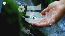 Ident di rete