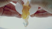 Il cibo è vita e passione: lo spot