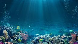 Giornata mondiale degli oceani