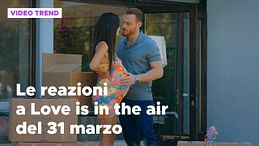 Love Is In The Air, le reazioni del 31 marzo