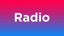 Il tema alla radio