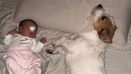 Ignazio Moser ricorda la sua cagnolina Aspi