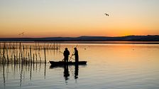 El secreto de la Albufera