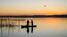 El secreto de la Albufera