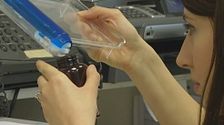 Alerta por un posible brote de peste neumónica en Rusia tras la muerte de una trabajadora de un laboratorio de enfermedades infecciosas