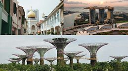 Guía definitiva de Singapur: consejos imprescindibles para saber todo acerca de este país