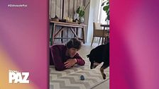 El importante papel del perrito familiar en el día a día de Kike Osborne: "Cuida de él" 
