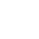 Cine34