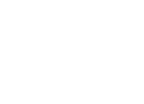 null logo