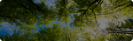 Environment