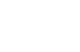 null logo