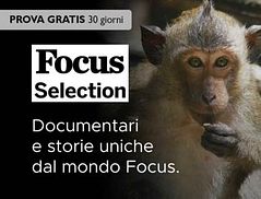 Focus Selection
