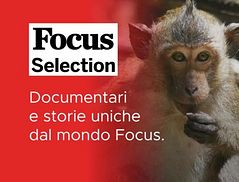 Focus Selection