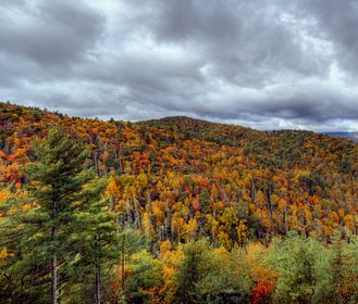 Alla scoperta dei parchi nazionali del Nord America
