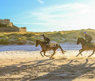 Grandi hotel e cavalli: binomio perfetto per soggiorni da sogno