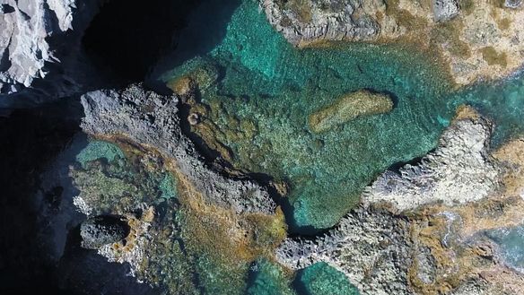 Imagen de Viajeros Cuatro