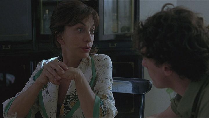 Mio fratello e' figlio unico