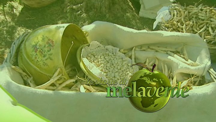 Melaverde - Le storie