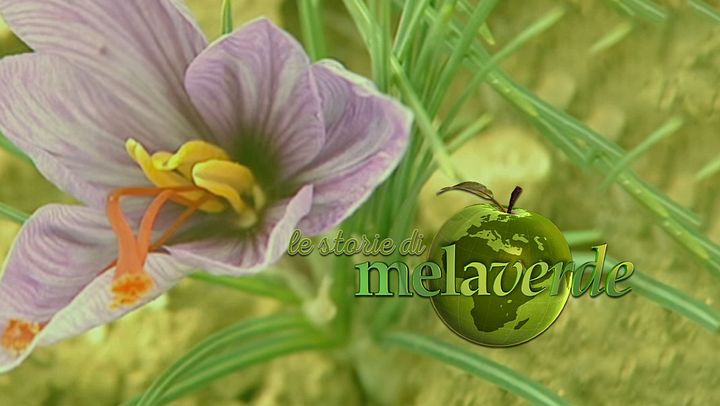 Melaverde - Le storie