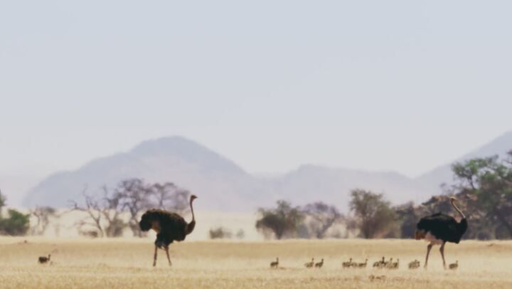 Planet Earth III - Le meraviglie della natura