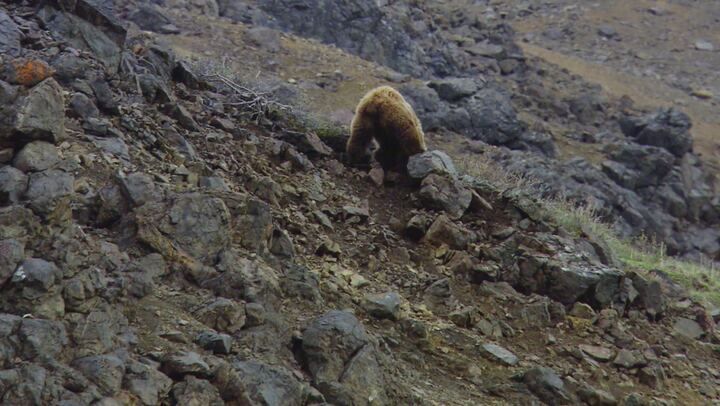 Alla scoperta dei parchi nazionali del Nord America