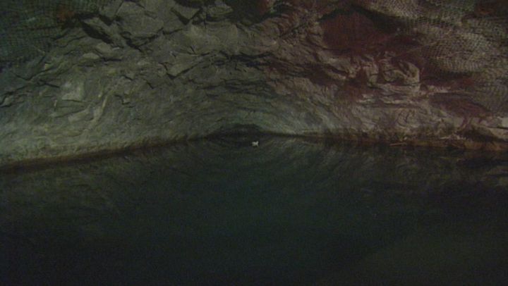 La terra dopo l'uomo