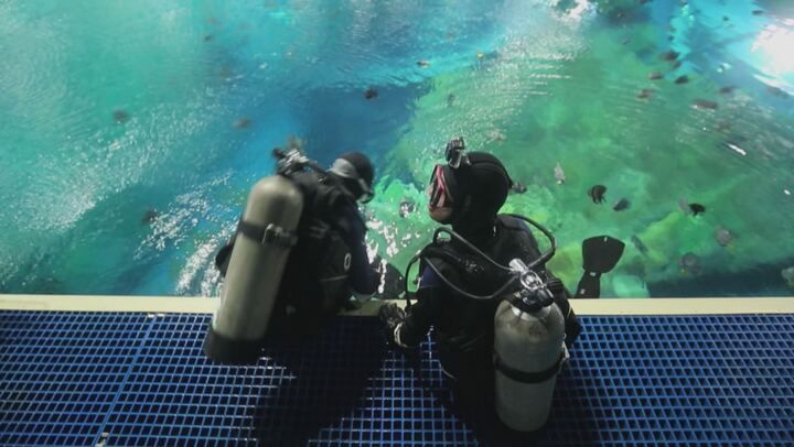L' acquario piu' grande del mondo