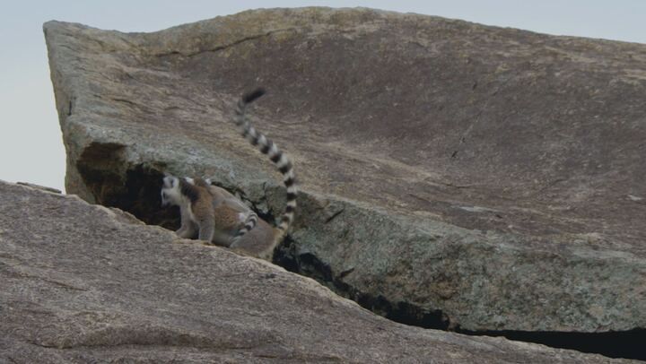 Dall'alba al tramonto