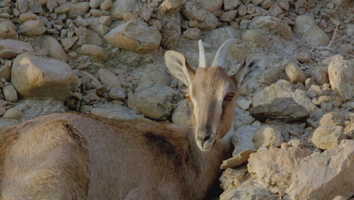 Dall'alba al tramonto