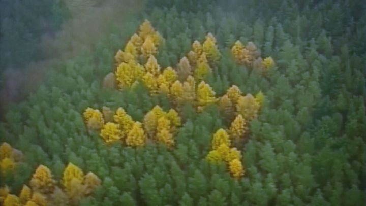 Cose di questo mondo