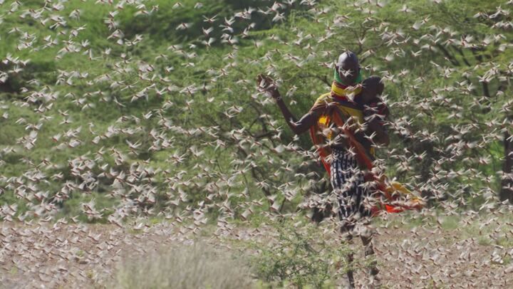 Planet Earth III - Le meraviglie della natura