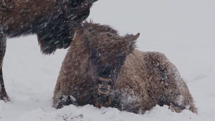 Senza sconti - Fin dove la vita resiste - PrimaTv