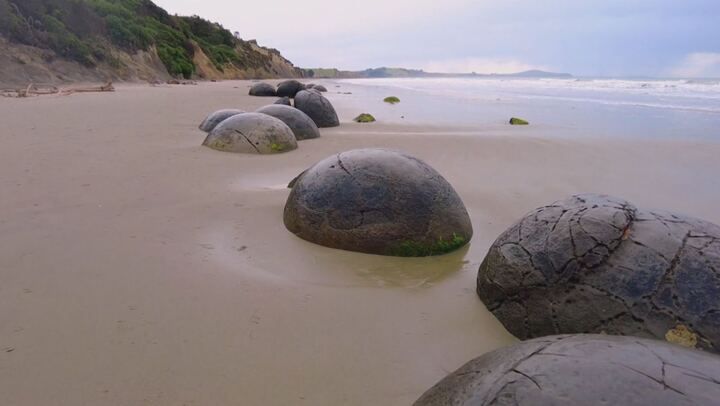 Stranezze di questo mondo