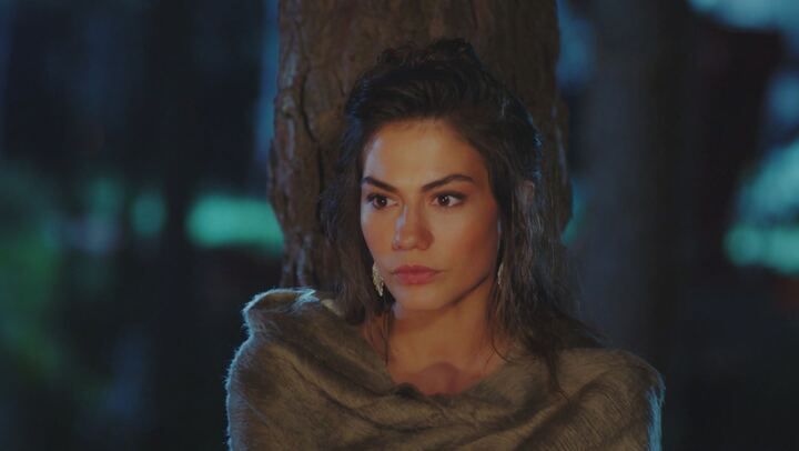 Daydreamer - Le ali del sogno