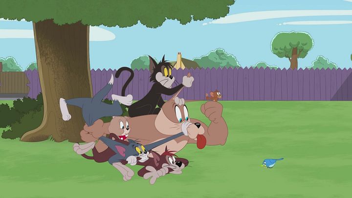 The Tom and Jerry Show