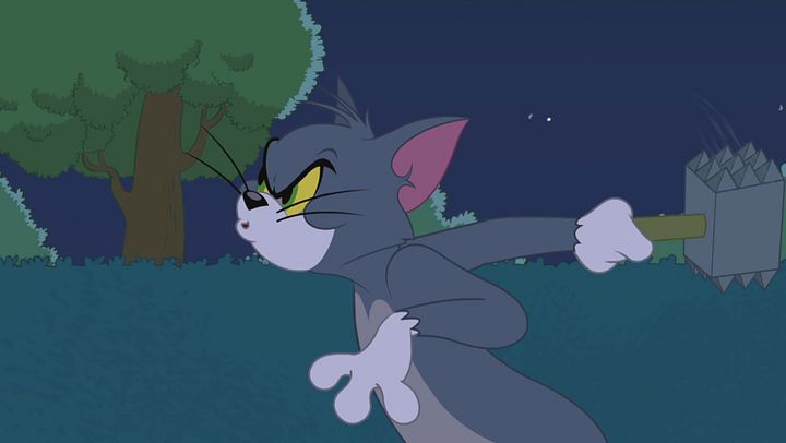 The Tom and Jerry Show