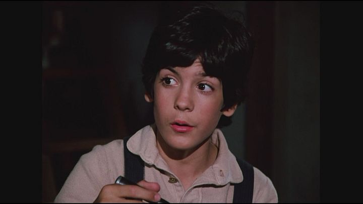 La casa nella prateria