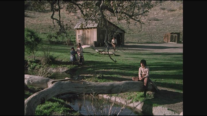 La casa nella prateria