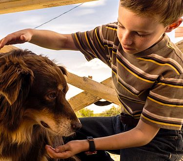 El extraordinario viaje de T. S. Spivet