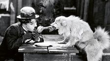 El circo