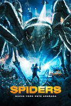 Spiders