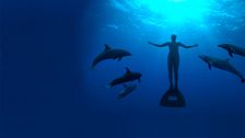 The cove