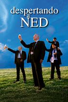 Despertando a Ned