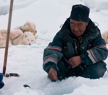 Profesor en Groenlandia